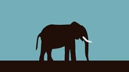 tes 6 thumbnail